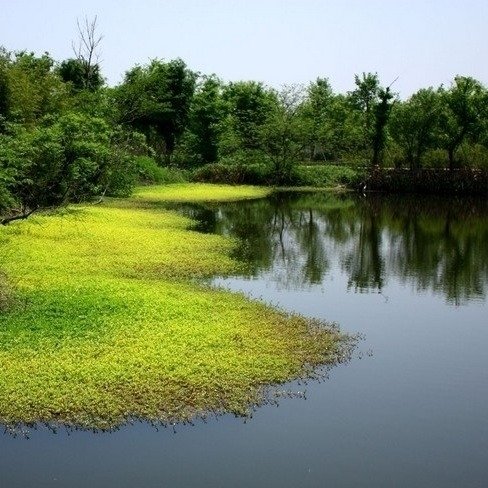 西溪湿地