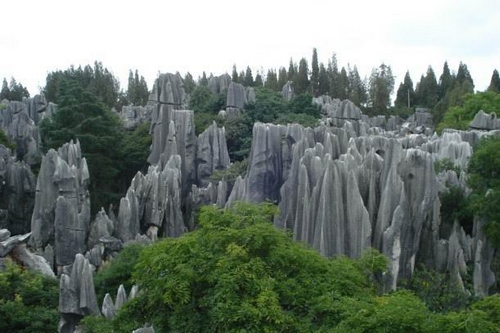 千岛湖石林